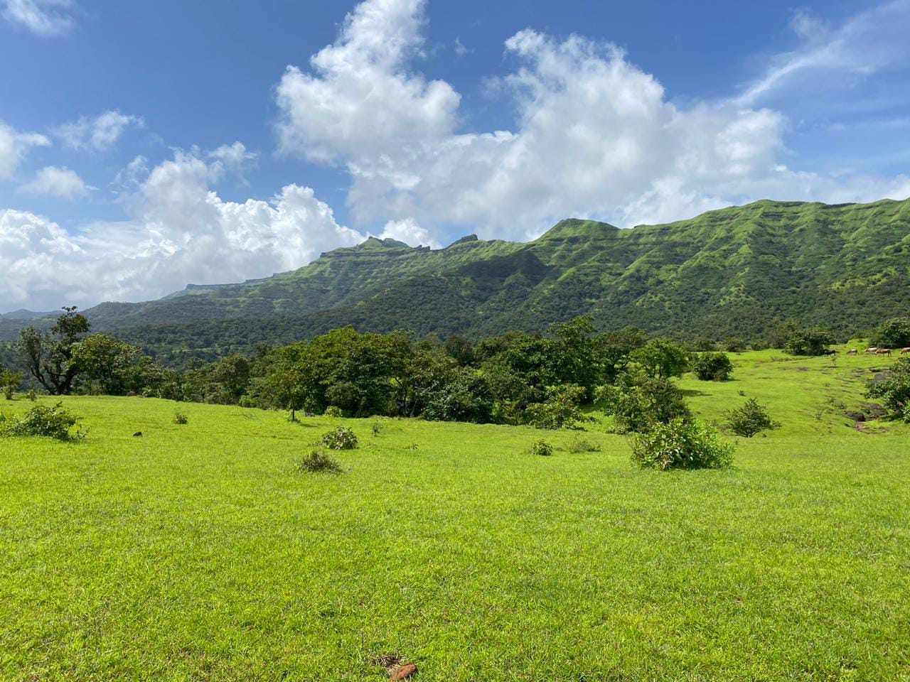 🏡Antroli (Rajgad, Velhe)