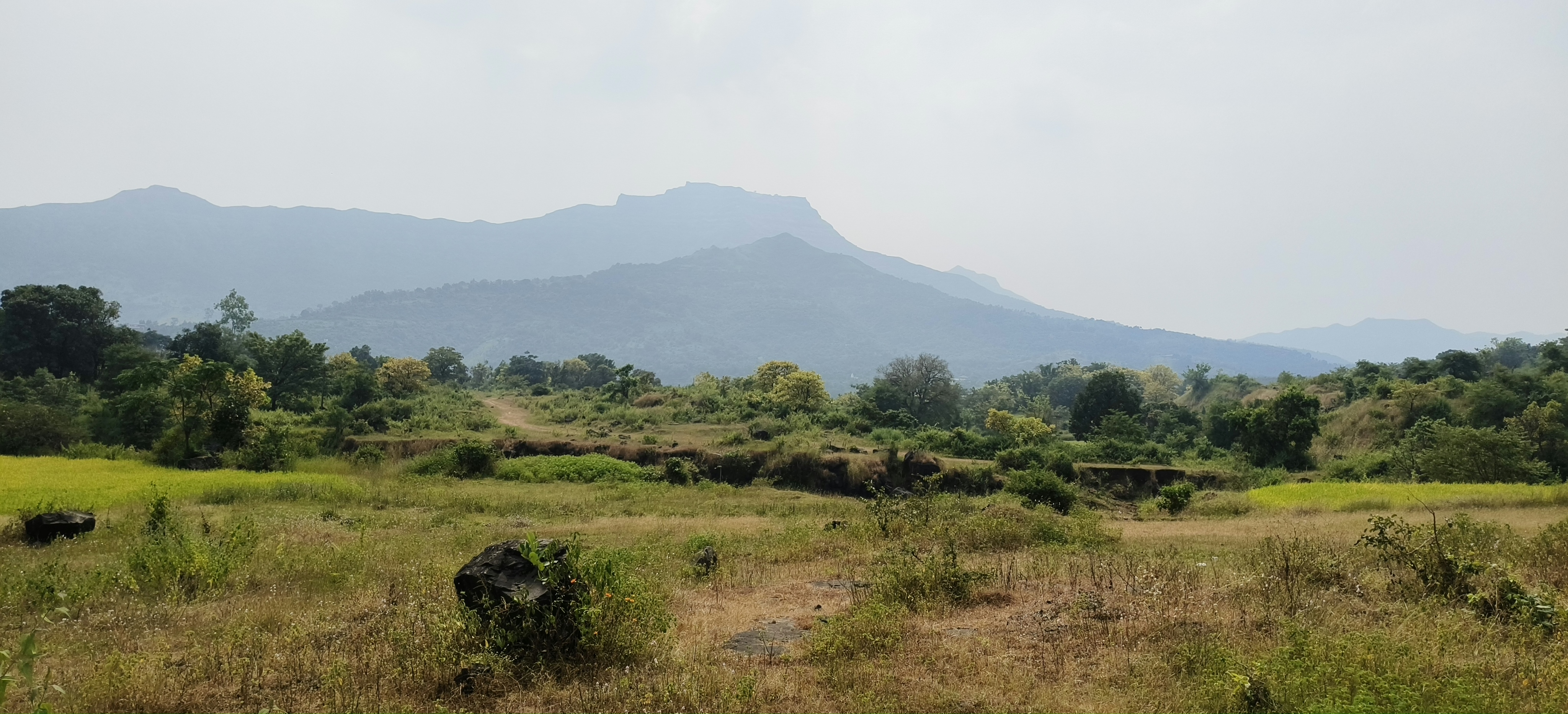 🏡 Dhanep  (Rajgad, Velhe)